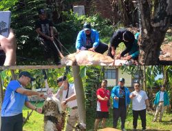 Rayakan Idul Adha 1446 Hijriah, DPD KNPI Kabupaten Bogor Sembelih Tiga Hewan Kurban